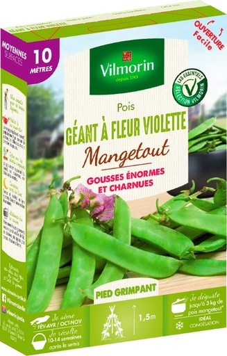 [48-003P8W] Graines de pois mangetout géant à fleur violette VILMORIN - 10m