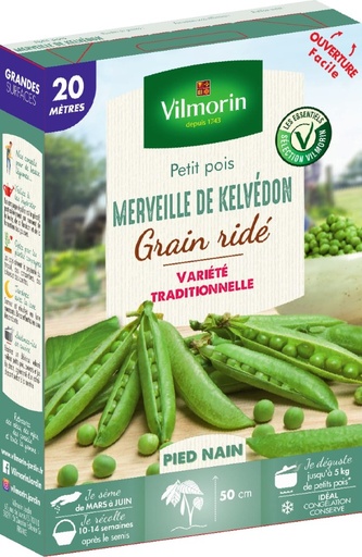 [48-003P99] Graines de pois nain à grain ridé merveille de kelvedon VILMORIN - 20m