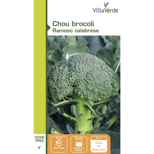 [48-001N67] Graines de chou brocoli ramoso calabrese VILLAVERDE 