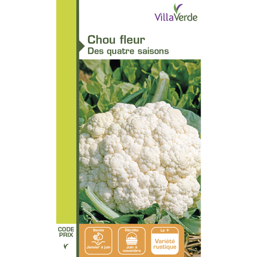 [48-001N6D] Graines de chou fleur des quatre saisons VILLAVERDE