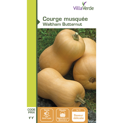 [48-001N6N] Graines de courge musquée waltham butternut VILLAVERDE