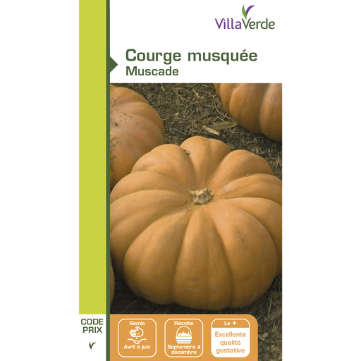 [48-001N6O] Graines de courge musquée muscade VILLAVERDE