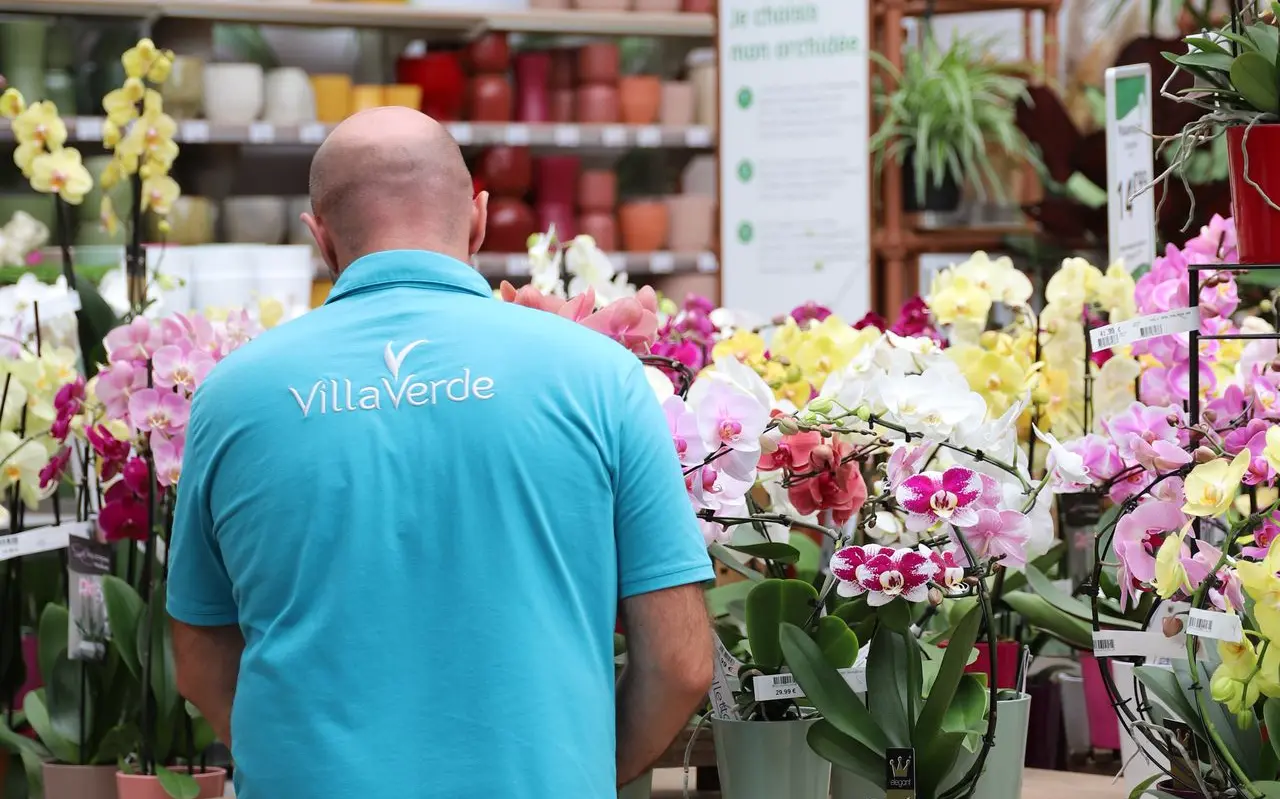 Conseiller VillaVerde en rayon : voir nos offres d’emploi
