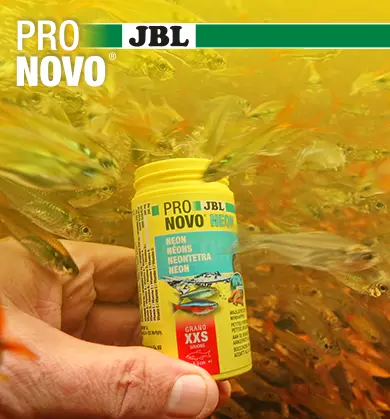 Nourriture JBL Pro Novo Néon pour poissons, devant un banc de néons