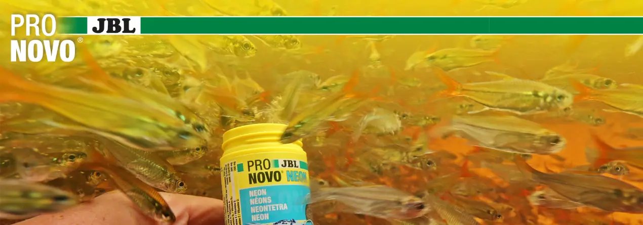 Nourriture JBL Pro Novo Néon pour poissons, devant un banc de néons