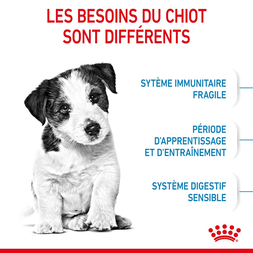 Variant image Croquettes Chiot mini ROYAL CANIN - 2kg - 0/4/5/c/045cd4f189c85cedfab4df1b0ea0f200e854e025_3182550793001__3_.jpg