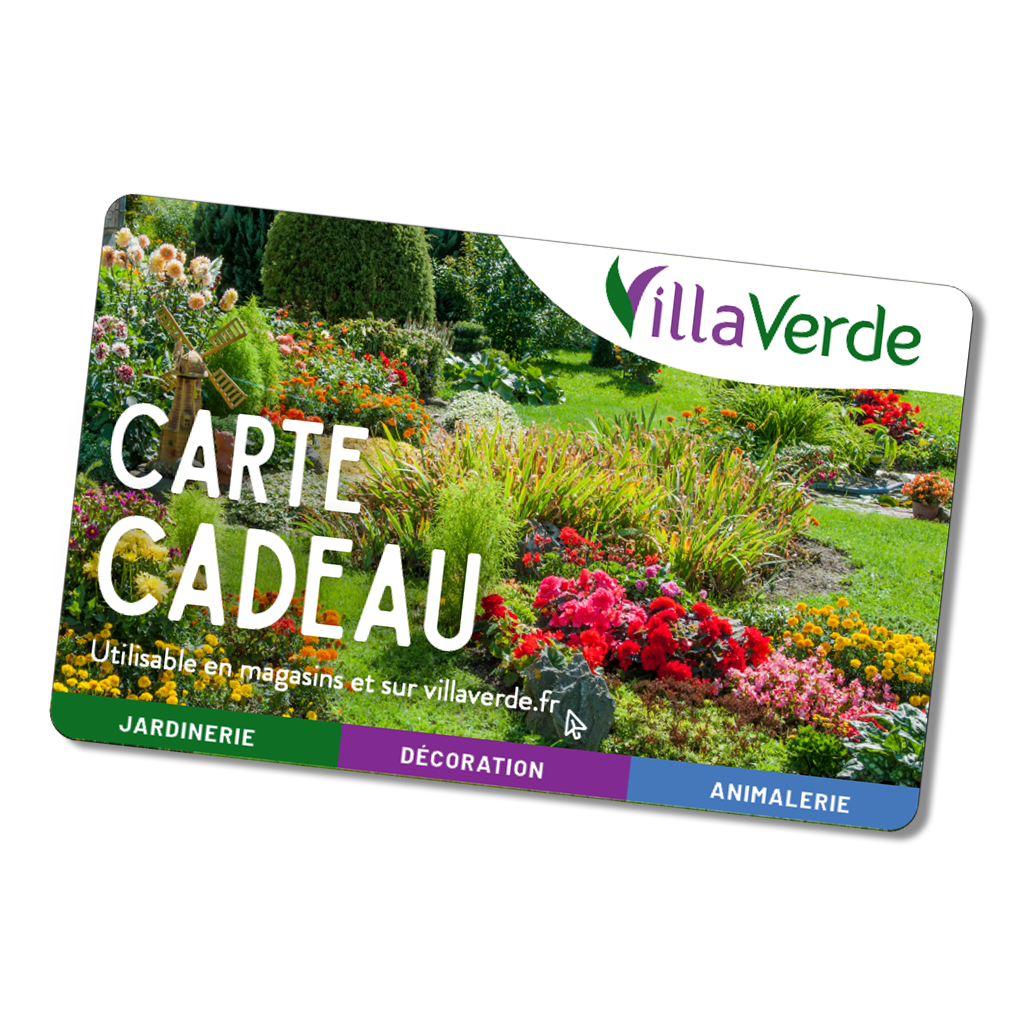 Carte cadeau 120€