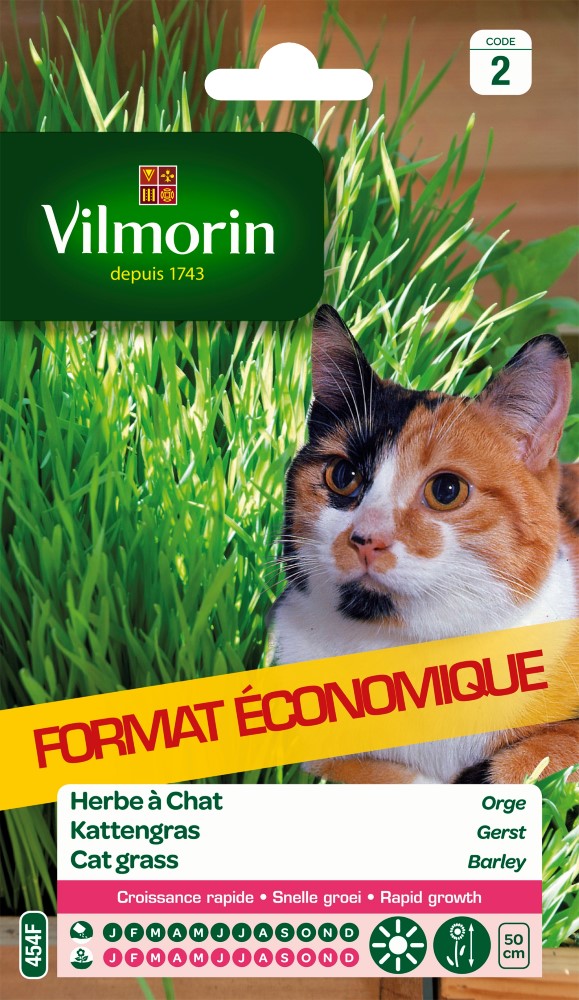 Herbe à chat (orge) VILMORIN