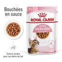 Boîte pâtées en sauce pour chatons stérilisés ROYAL CANIN - 12x85g