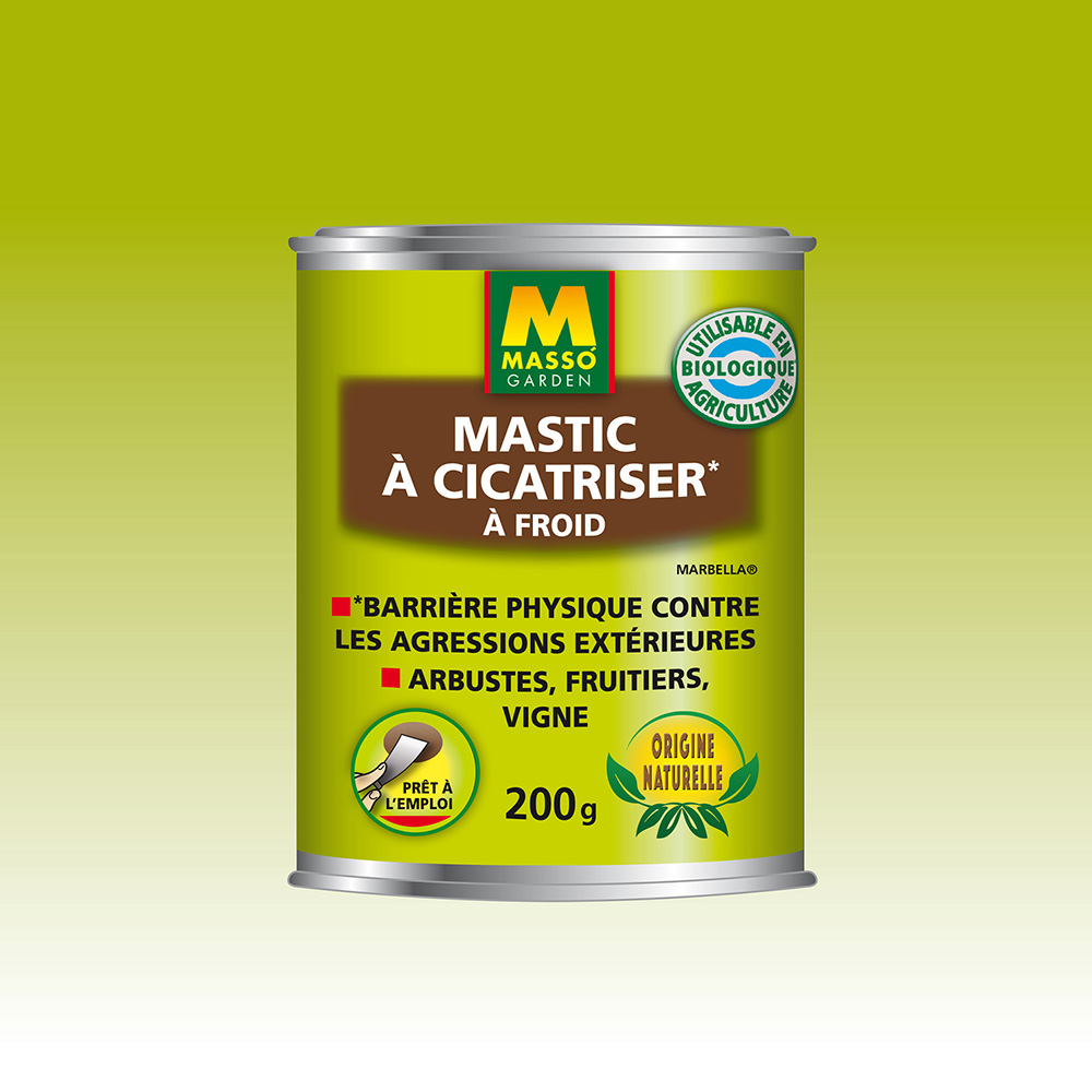 Mastic à Cicatriser à Froid  MASSO GARDEN - 200 g UAB 