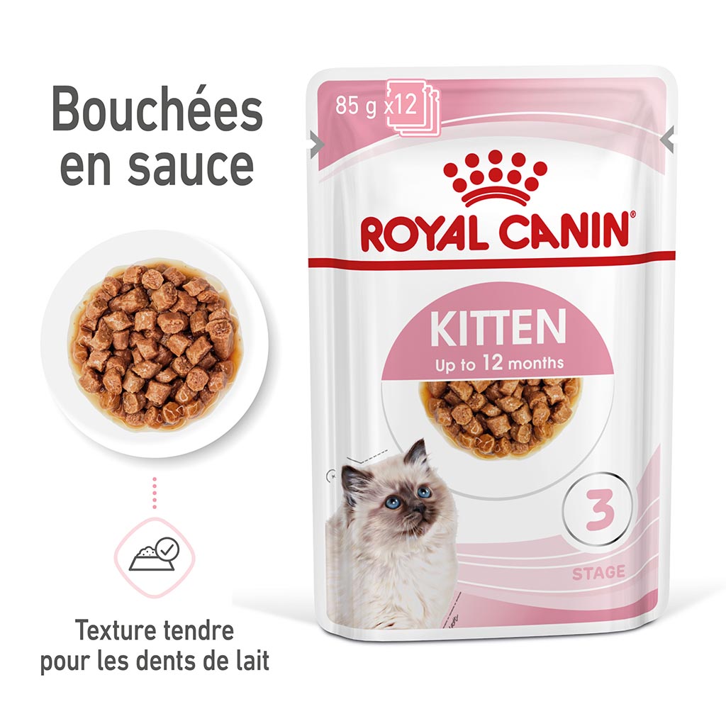 Boîte pâtées en sauce chatons et chattes gestantes ROYAL CANIN - 12x85g