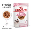 Pâtées en sauce chatons et chattes gestantes ROYAL CANIN - 85g