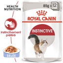 Boîte pâtées chats adultes ROYAL CANIN - 12x85g