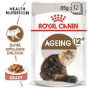 Boîte pâtées en sauce chats seniors +12ans ROYAL CANIN - 12x85g