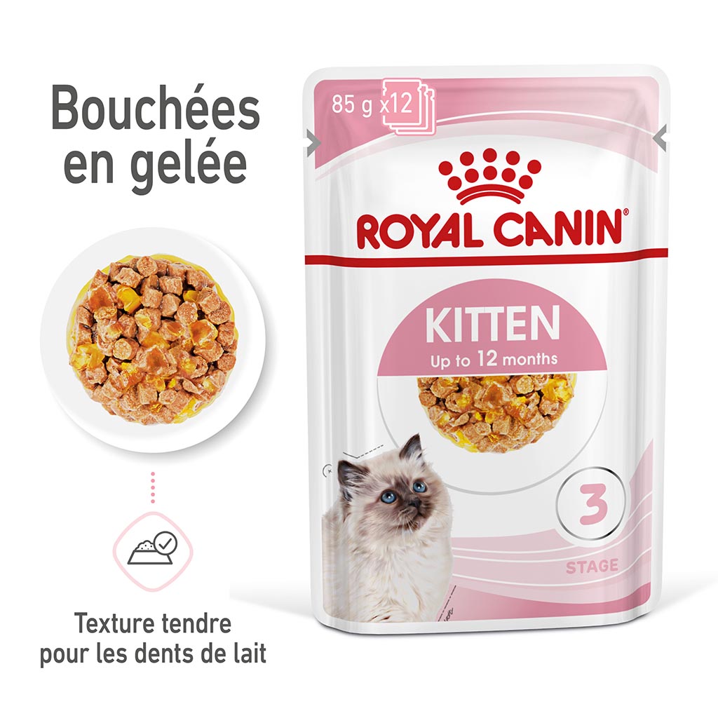 Boîte pâtées en gelée chatons et chattes gestantes ROYAL CANIN - 12x85g