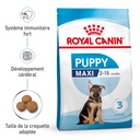 Croquettes chiots maxi ROYAL CANIN - 10kg