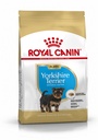Croquettes chiots yorkshire terrier ROYAL CANIN - 1.5kg
