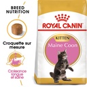 Croquettes chatons maine coon ROYAL CANIN - 2kg