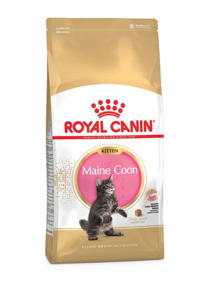 Croquettes chatons maine coon ROYAL CANIN - 4kg