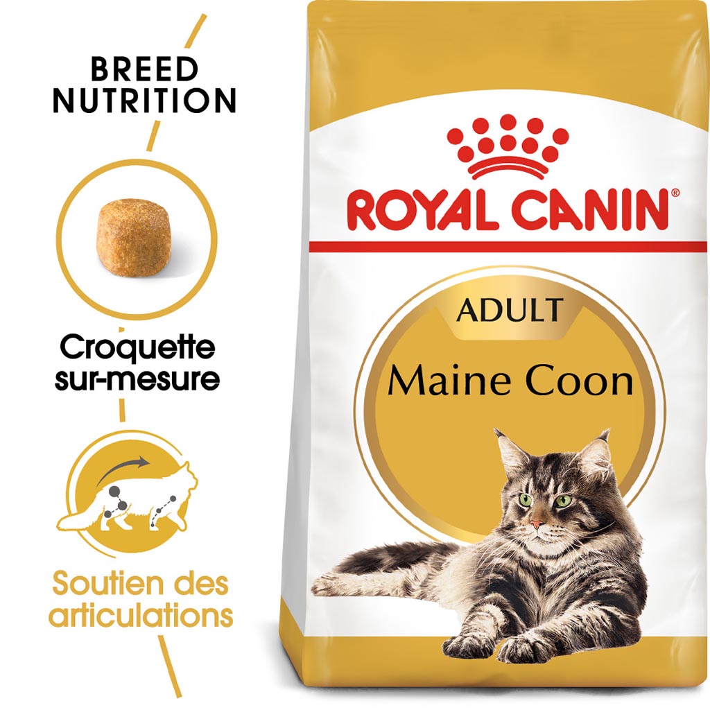 Croquettes chats adultes maine coon ROYAL CANIN - 2kg