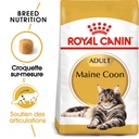Croquettes chats adultes maine coon ROYAL CANIN - 2kg