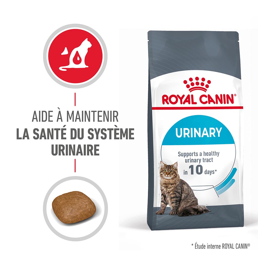 Croquettes chats adultes urinary care ROYAL CANIN - 2,4kg