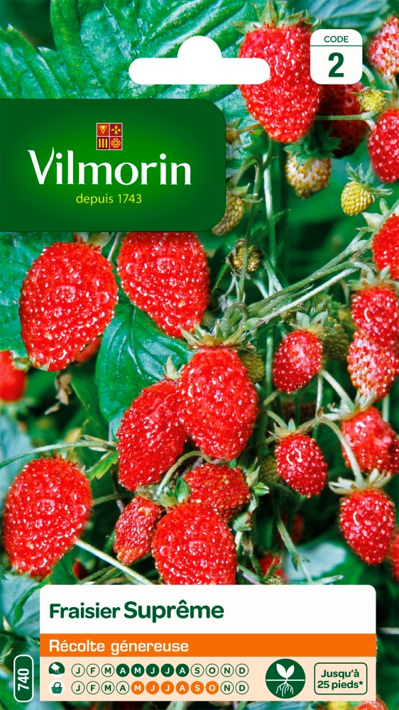 Graines de fraisier des 4 saisons VILMORIN