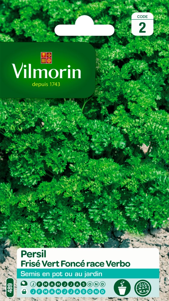 Graines de persil frisé vert foncé verbo VILMORIN