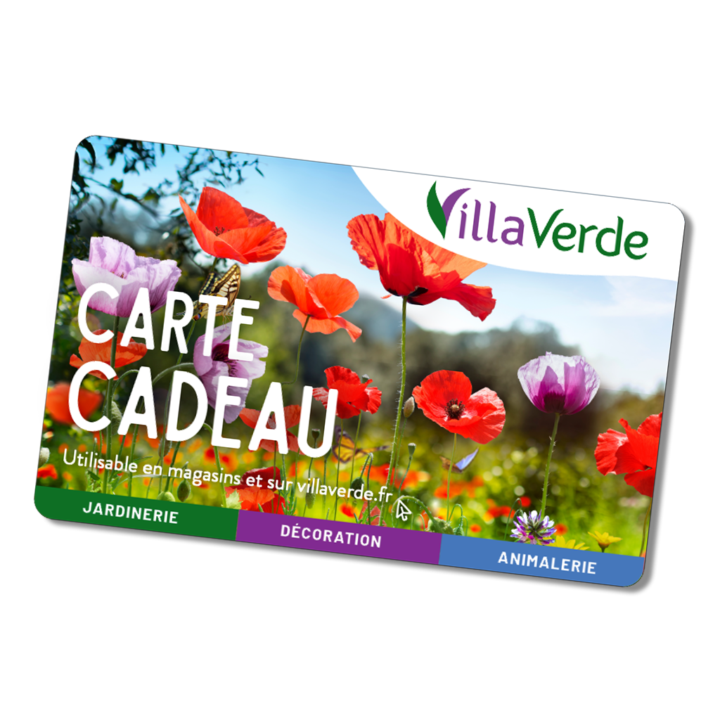 Carte cadeau 30€