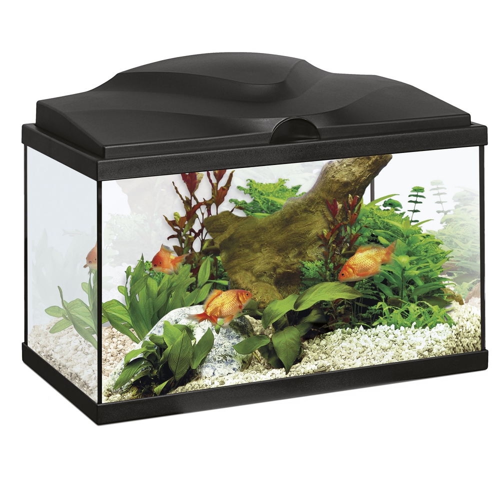 Tom&Co Aquarium 20L Noir