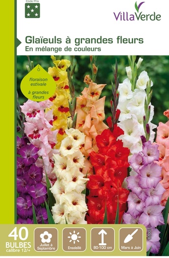 Vente de bulbes de fleurs ! - Notre Dame de l'Assomption