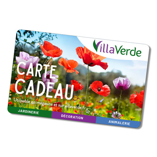 [J-00234V] Carte cadeau 60€